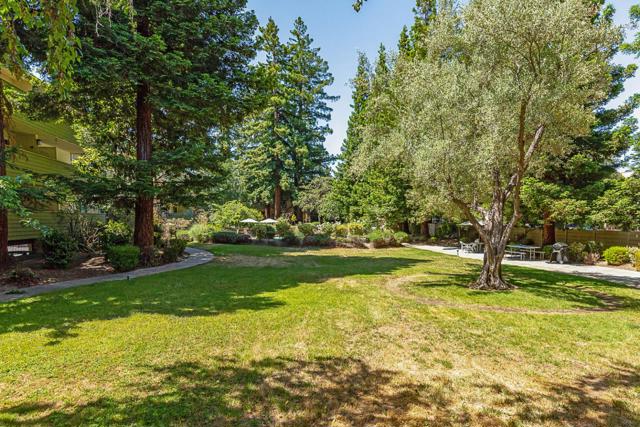 MLS #ML82012521 image #14