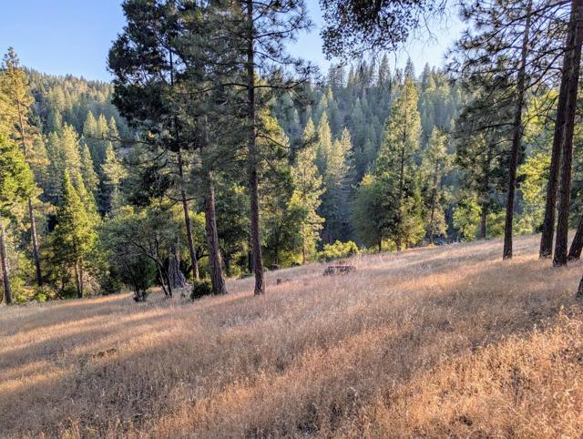 MLS #ML82012629 image #5