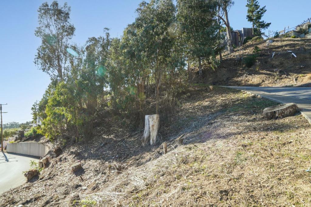 MLS #ML82012689 image #3