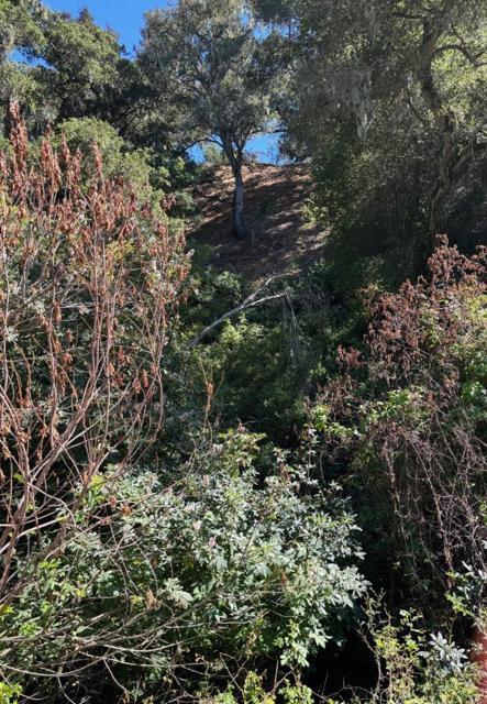 MLS #ML82013023 image #11