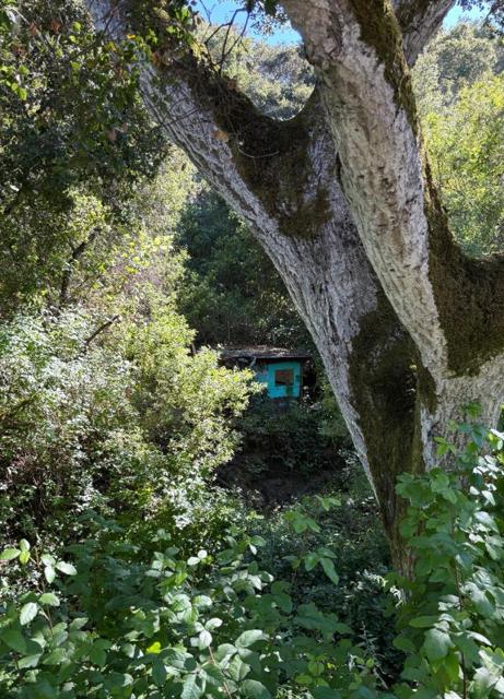 MLS #ML82013023 image #13