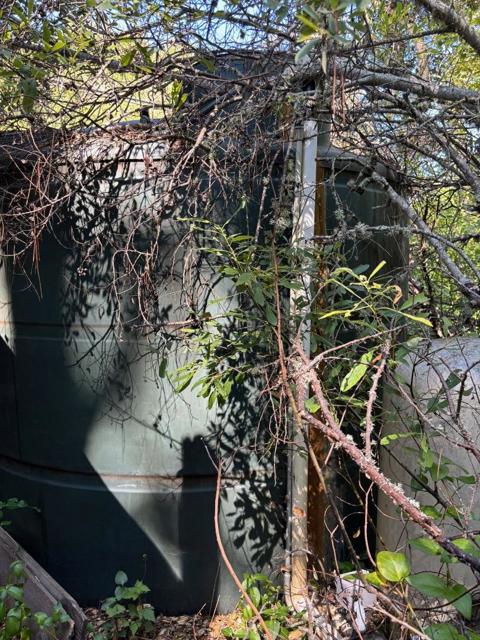 MLS #ML82013023 image #17