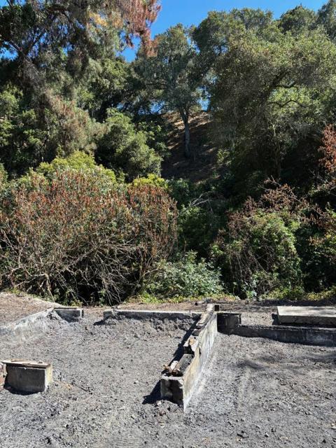 MLS #ML82013023 image #4