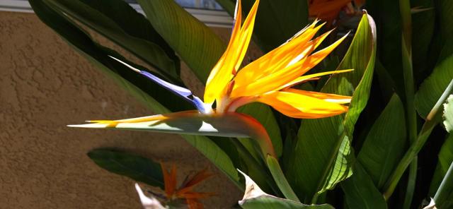 MLS #ML82013437 image #23
