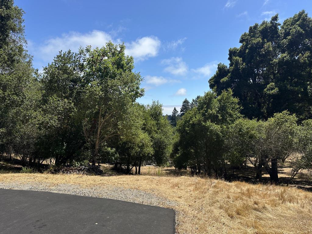 MLS #ML82013968 image #23