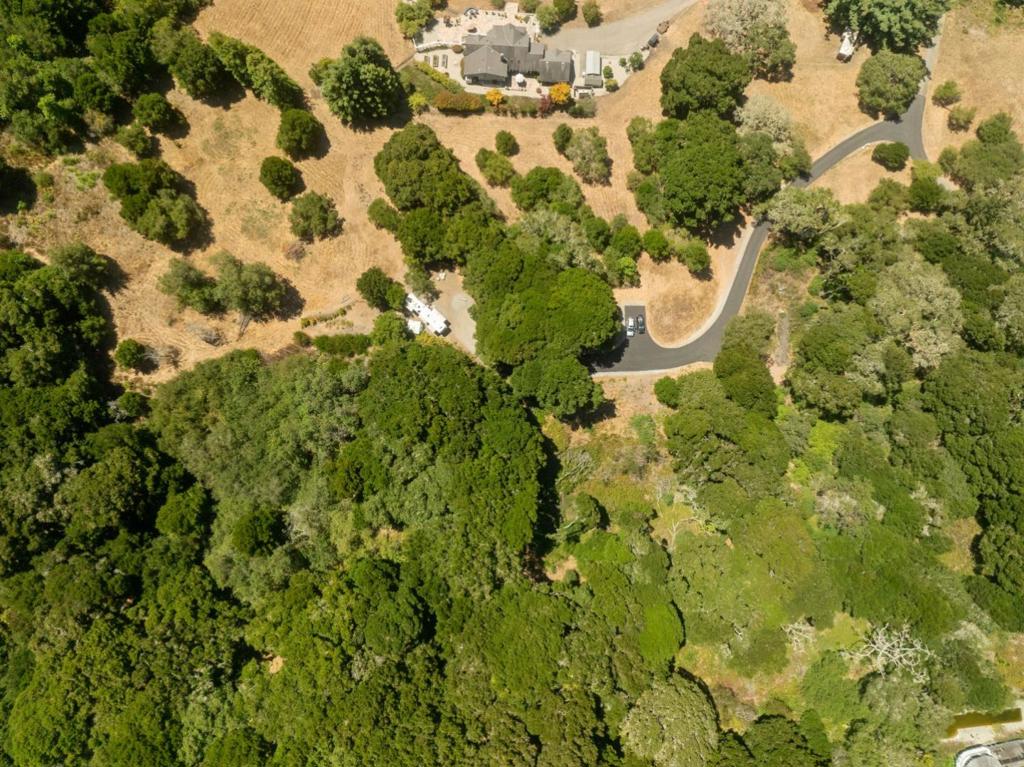 MLS #ML82013968 image #5