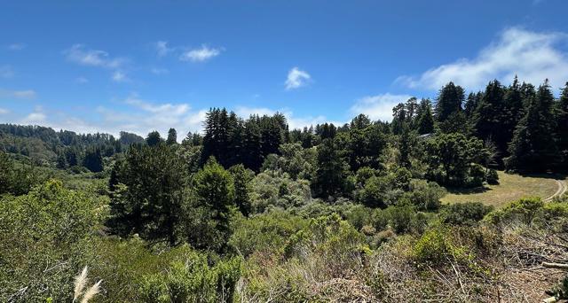 MLS #ML81994546 image #122