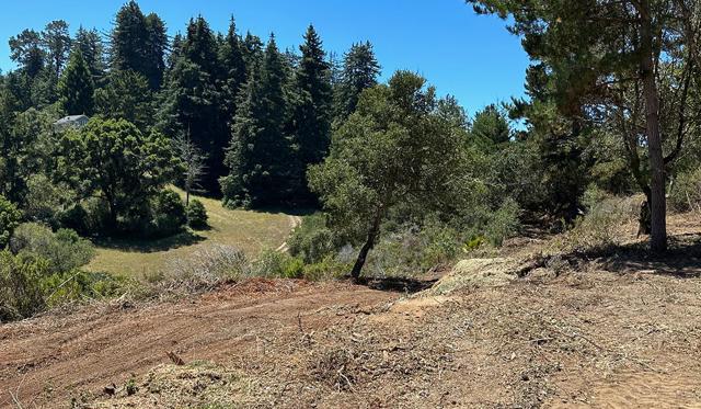 MLS #ML81994546 image #124