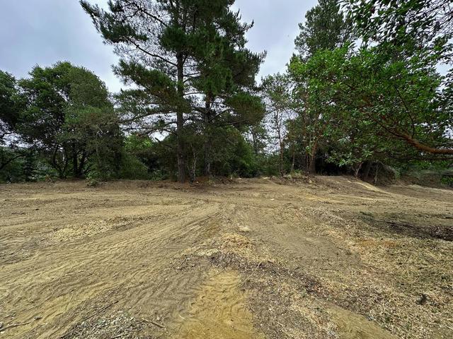 MLS #ML81994546 image #125