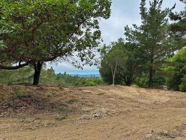 MLS #ML81994546 image #126