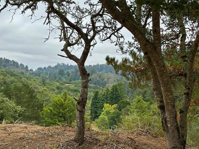 MLS #ML81994546 image #127