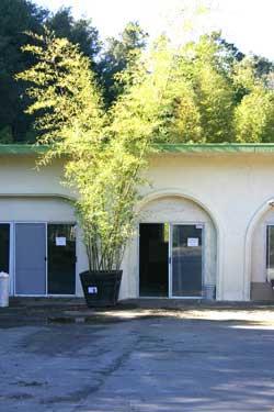 MLS #ML81994546 image #96