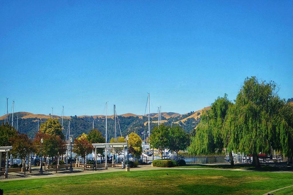 MLS #ML82014638 image #14