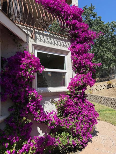 MLS #ML82014748 image #113