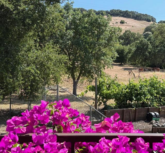 MLS #ML82014748 image #69