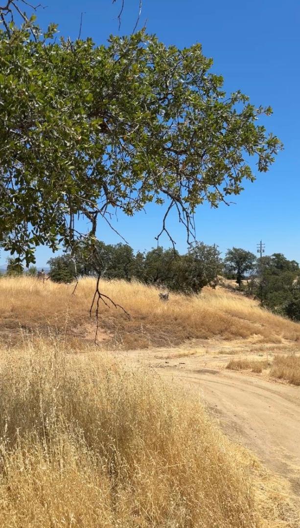 MLS #ML82014876 image #2