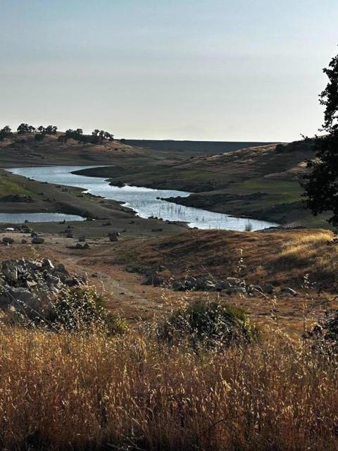 MLS #ML82014876 image #4