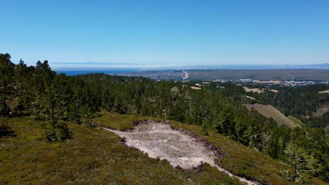 MLS #ML82015339 image #12