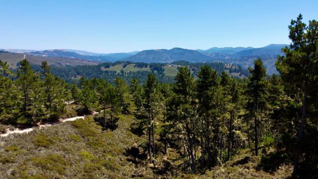 MLS #ML82015339 image #14