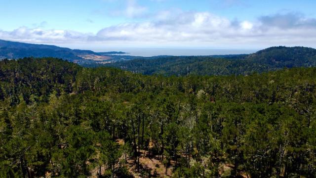 MLS #ML82015339 image #15