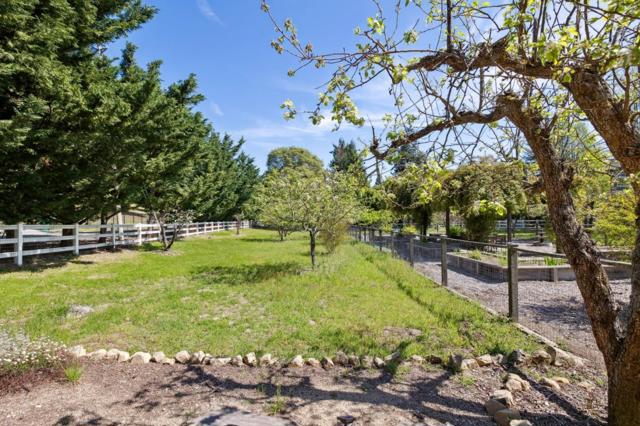 MLS #ML82015557 image #71