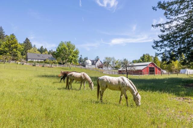 MLS #ML82015557 image #97