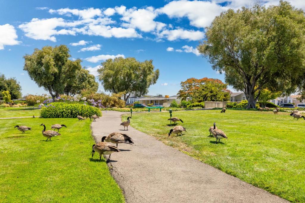 MLS #ML82015953 image #22