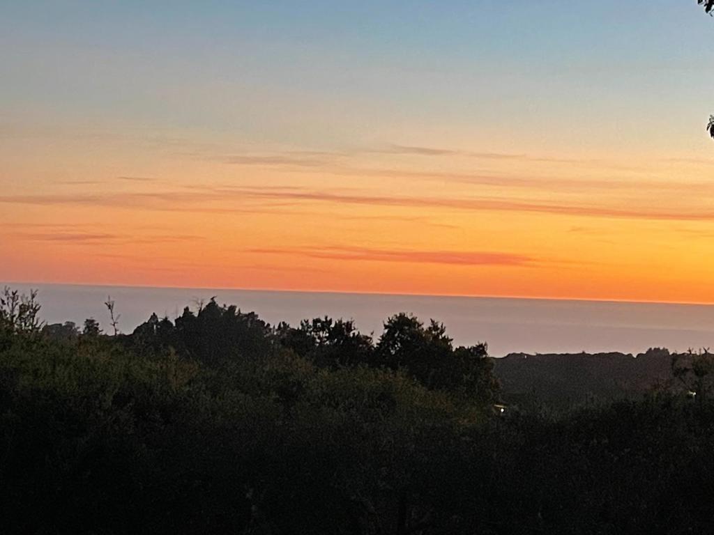 MLS #ML82016176 image #4