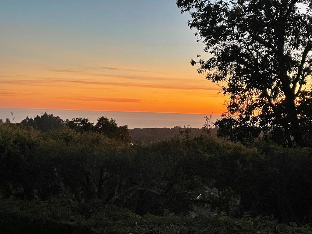 MLS #ML82016176 image #58