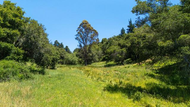 MLS #ML82016536 image #7