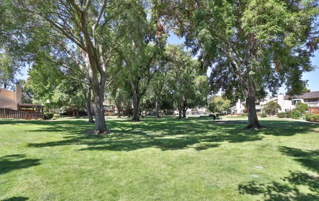 MLS #ML82016930 img 32