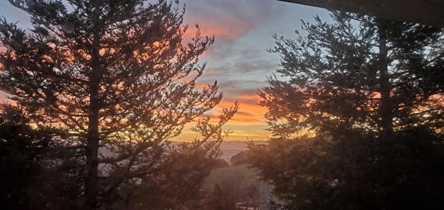 MLS #ML82017168 image #77