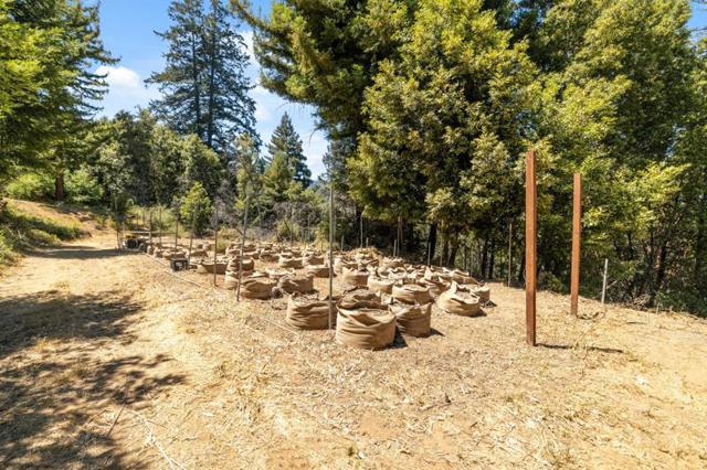 MLS #ML82017384 image #10