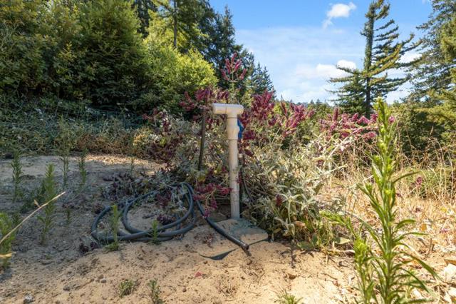 MLS #ML82017384 image #11