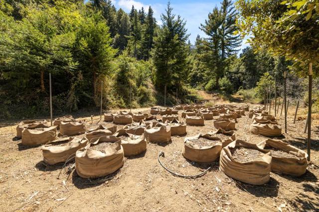 MLS #ML82017384 image #19