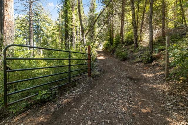 MLS #ML82017384 image #32