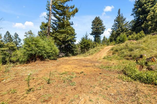 MLS #ML82017384 image #6