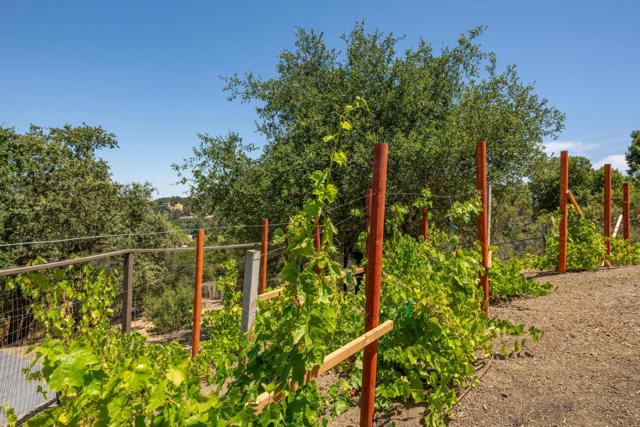 MLS #ML82017471 image #60