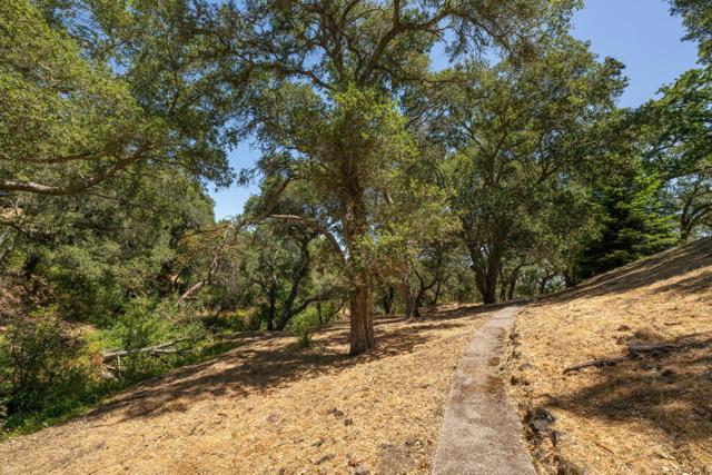 MLS #ML82017471 image #65