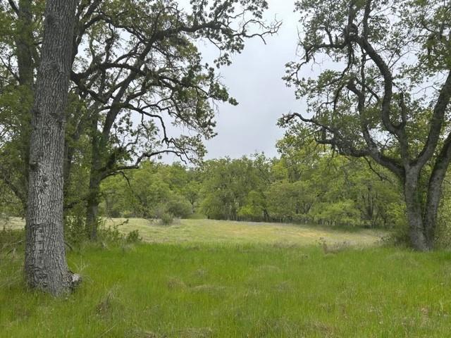 MLS #ML82017559 image #0