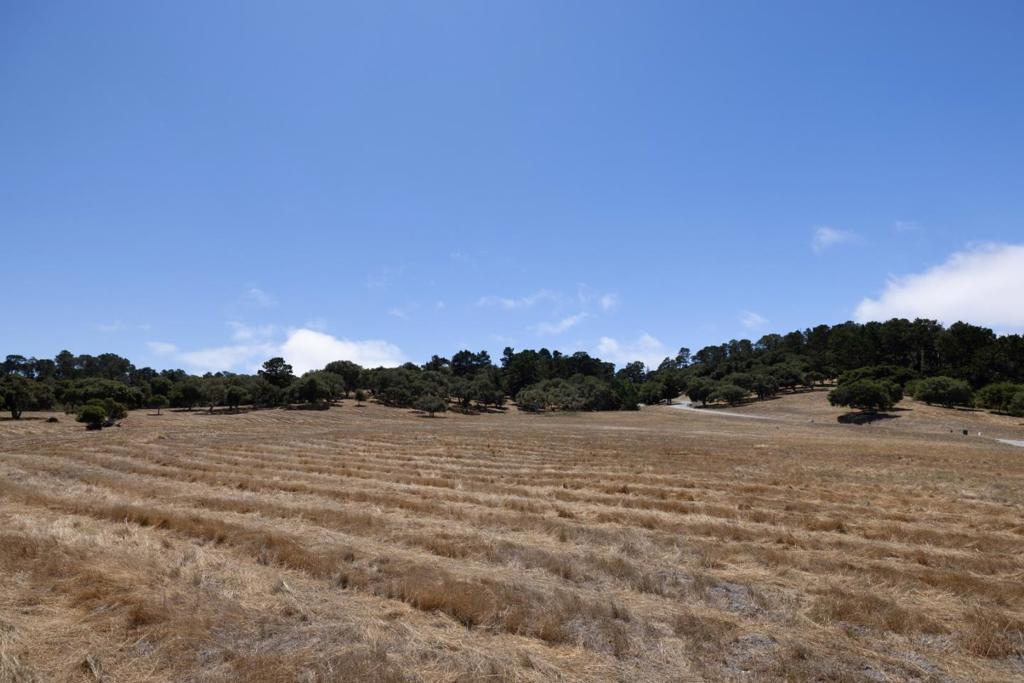 MLS #ML82017974 image #7