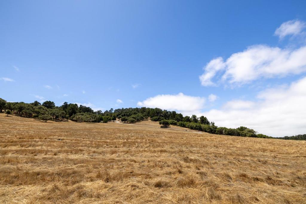 MLS #ML82017974 image #9