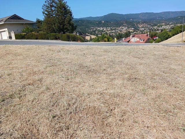 MLS #ML82018172 image #10