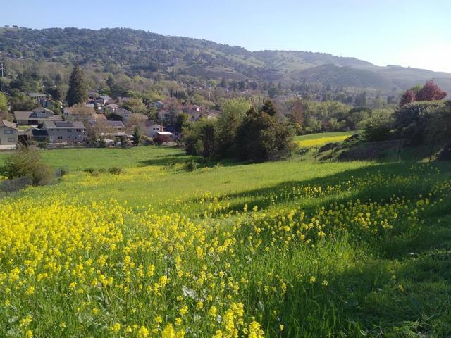 MLS #ML82018172 image #6