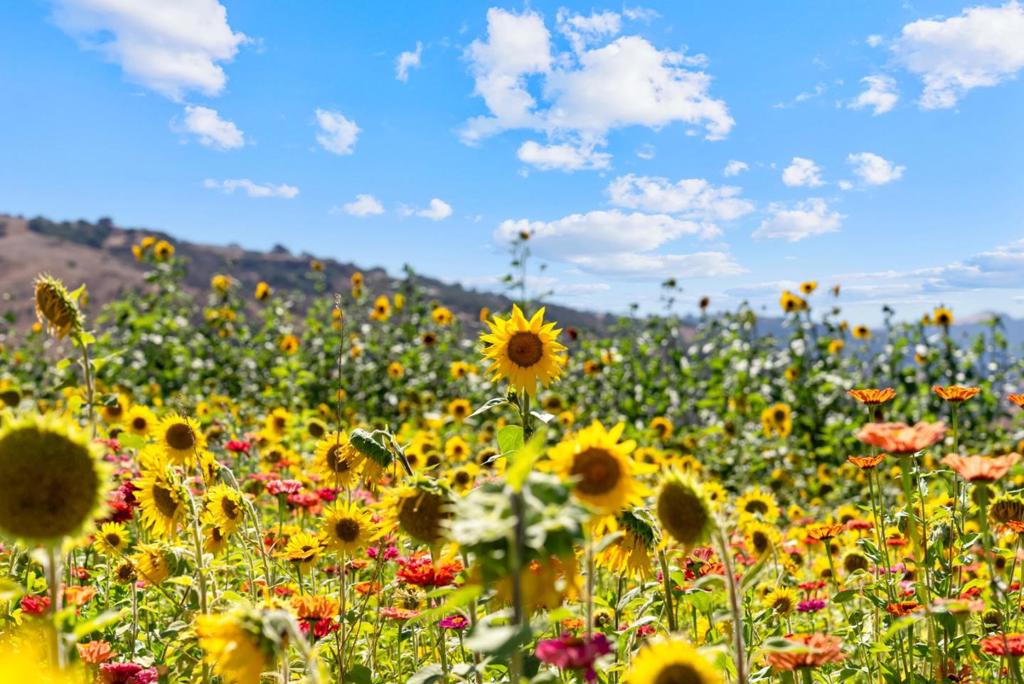 MLS #ML82018625 image #70