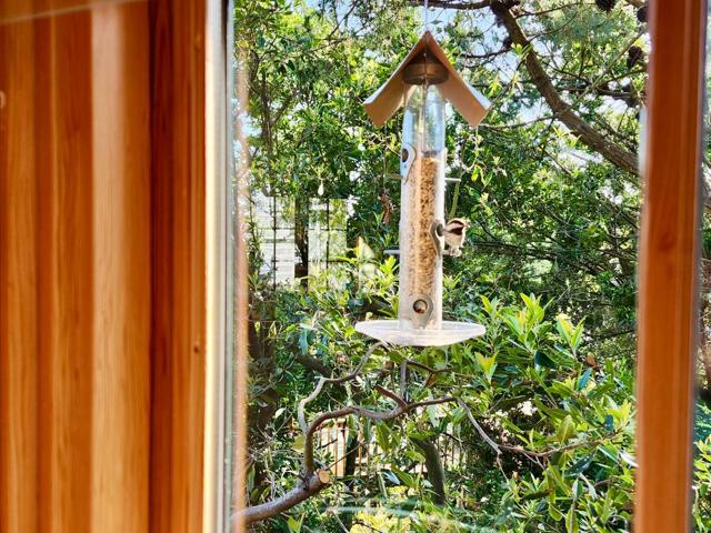 MLS #ML82019241 image #12