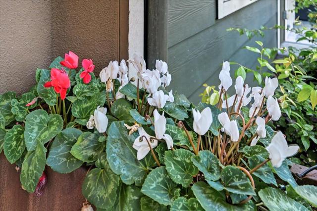 MLS #ML82019352 image #74