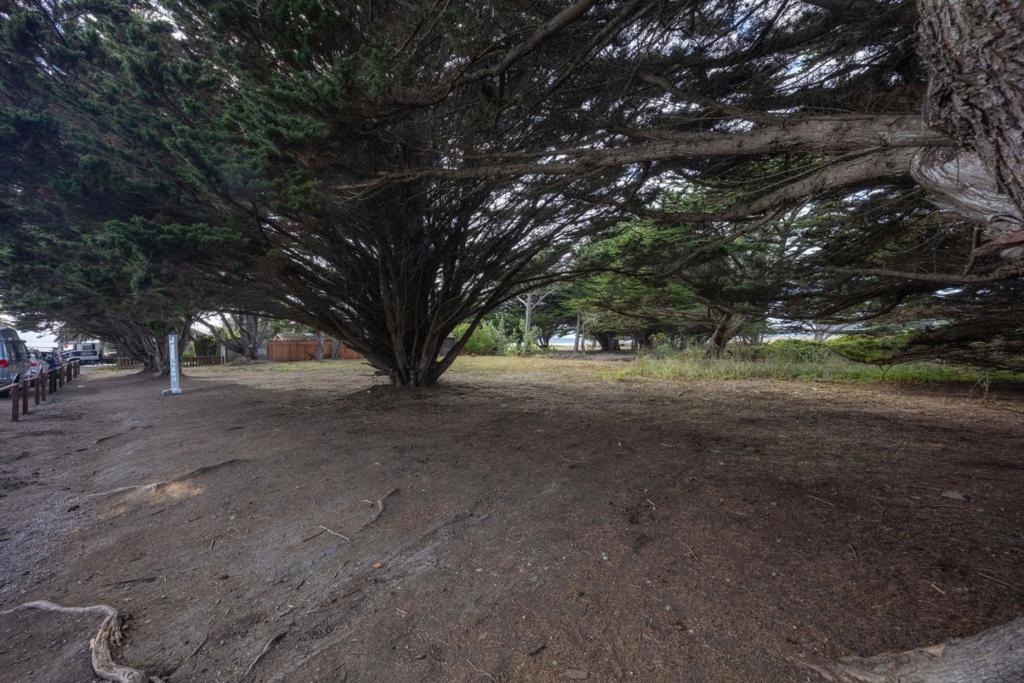 MLS #ML82019698 image #6