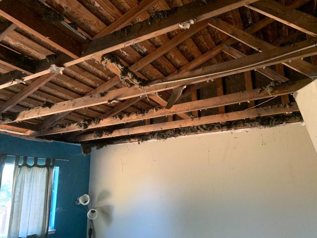 MLS #ML82020620 image #11