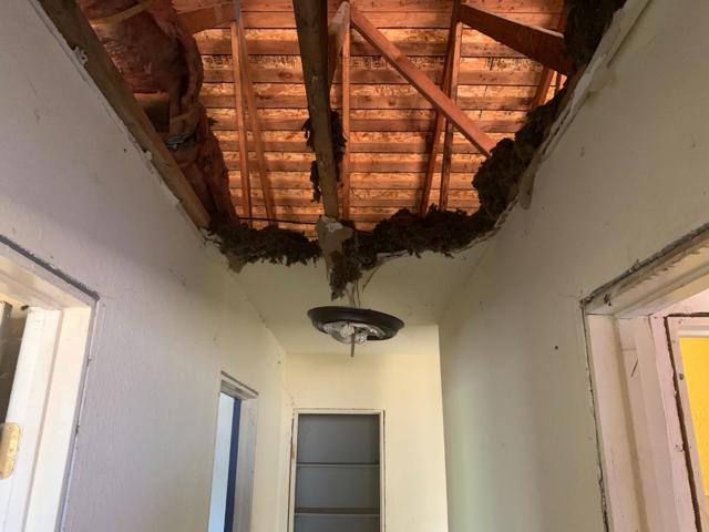 MLS #ML82020620 image #16